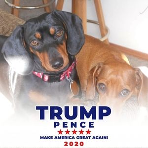 Meet your Posher, Annette